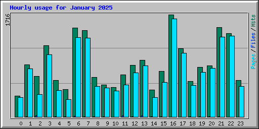 Hourly usage for January 2025