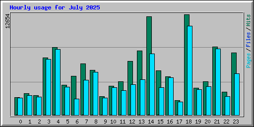 Hourly usage for July 2025