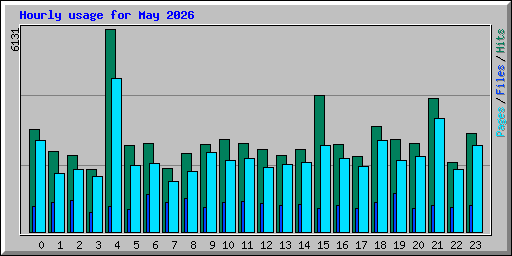Hourly usage for May 2026